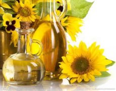 葵花籽油走俏市場，食用油灌裝機擔(dān)任新使者