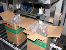 花生油灌裝機(jī)